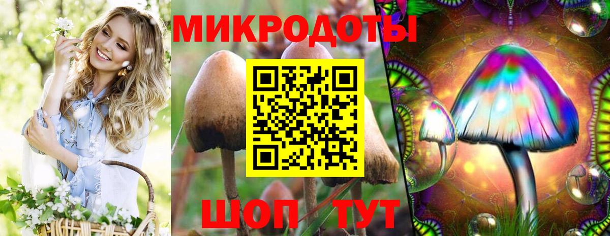 Псилоцибиновые грибы Янаул