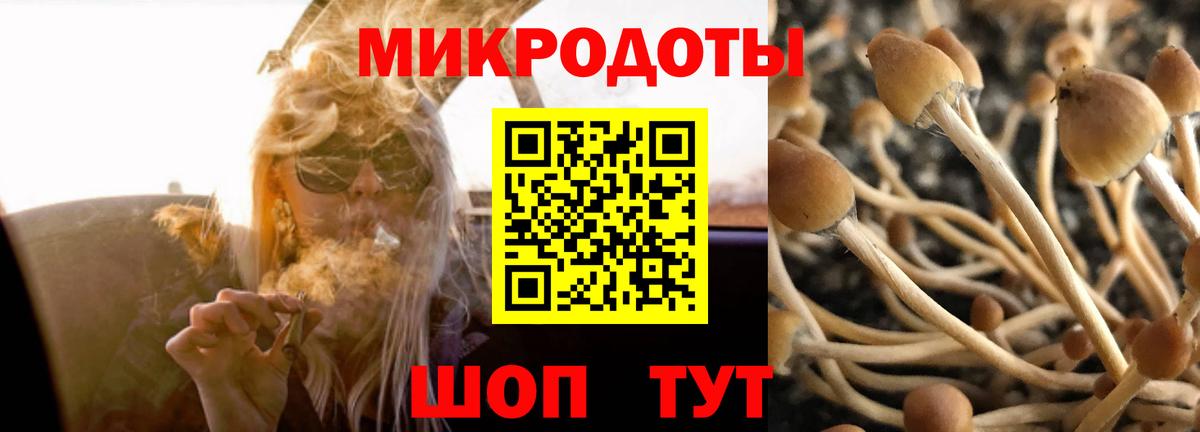 Псилоцибиновые грибы GOLDEN TEACHER Янаул