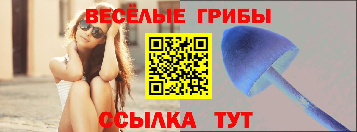 Галлюциногенные грибы Cubensis  Галлюциногенные грибы ЛСД  Вход с VPN  купить наркотики цена  Янаул 